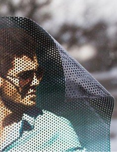 photo de microperforé sur une fenetre 2